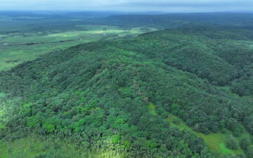 鶴居・西武の森